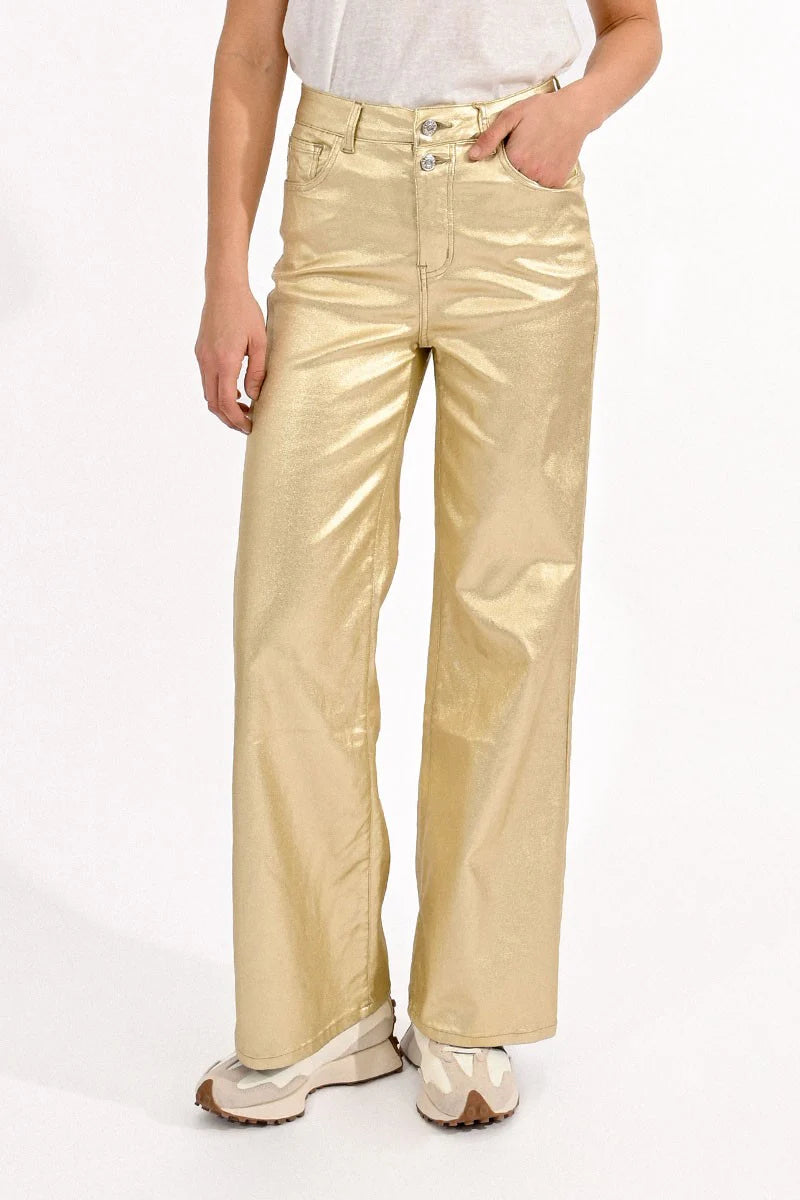 Wide Leg Gold Coated Pants