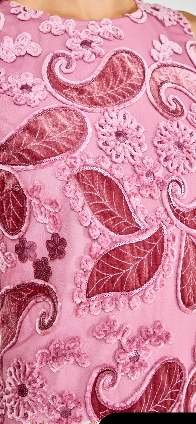 Velvet Paisley Dress